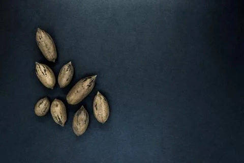 Pecan Nuts with the Nutshell on Black Background Stock Photos