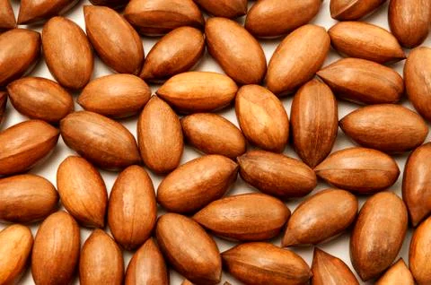 Pecan nuts Stock Photos