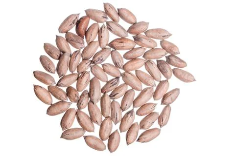 Pecan nuts Stock Photos