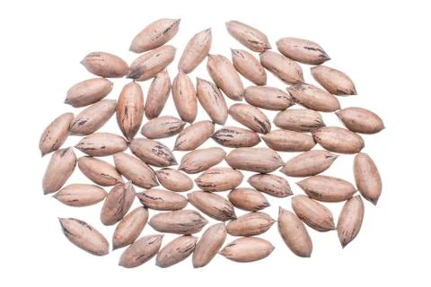 Pecan nuts Stock Photos