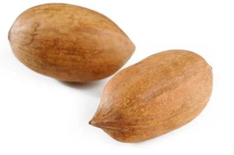 Pecan nuts Stock Photos