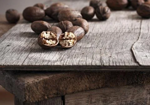 Pecan nuts Stock Photos