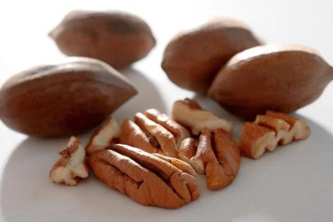 Pecan Nuts Stock Photos