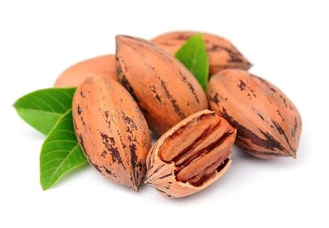 Pecan nuts Stock Photos