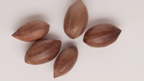 Pecan nuts rotating on white background Видео 124858371