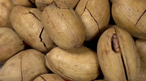 Pecan Nuts, rotation Stock Footage 48984384