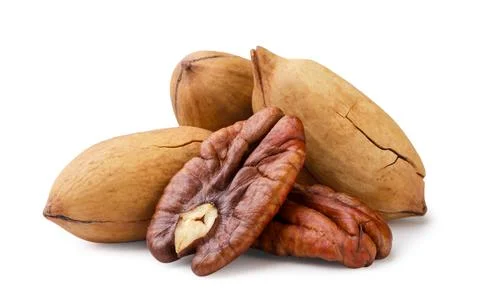 Pecan nuts in shell and kernel close-up on a white background. Isolated Stock Photos
