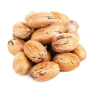 Pecan Nuts In A Shell Stock Photos