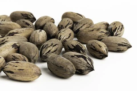 Pecan Nuts In Shell On White Background Stock Photos