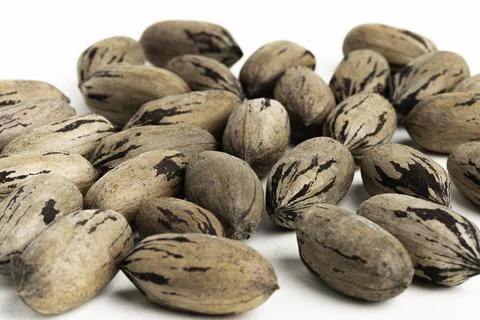 Pecan Nuts In Shell On White Background Stock Photos