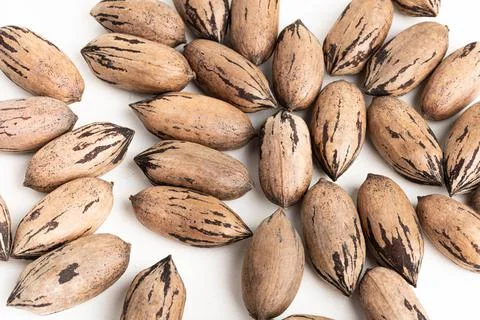 Pecan Nuts In Shell On White Background Stock Photos