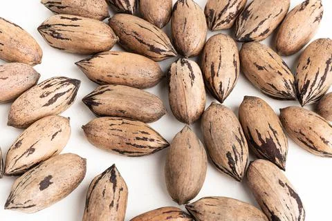 Pecan Nuts In Shell On White Background Stock Photos