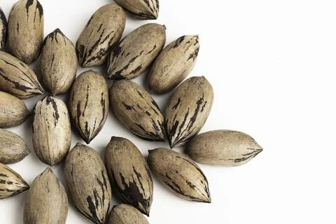 Pecan Nuts In Shell On White Background Stock Photos