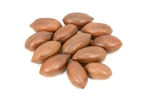 Pecan nuts in shells Stock Photos