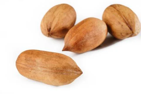 Pecan nuts  on white background Stock Photos