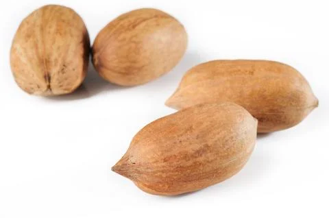 Pecan nuts on white background Stock Photos