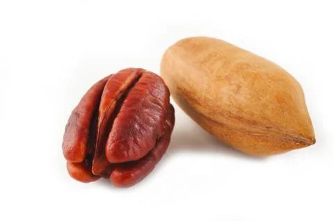 Pecan nuts on white Stock Photos