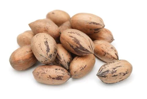 Pecan Stock Photos