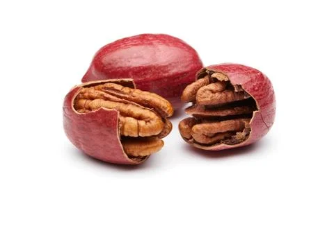 Pecan Foto stock