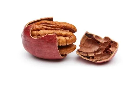 Pecan Stock Photos