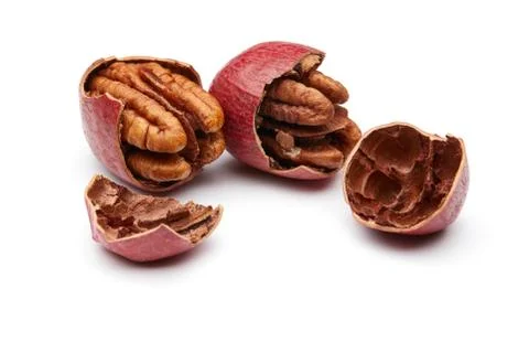 Pecan Stock Photos