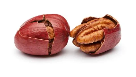 Pecan Foto stock