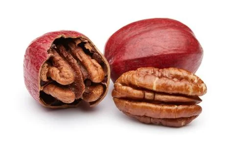 Pecan Stock Photos