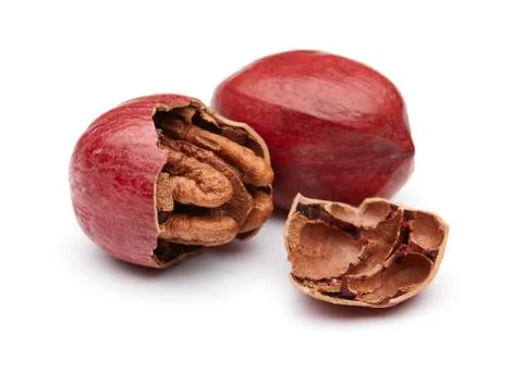 Pecan Stock Photos