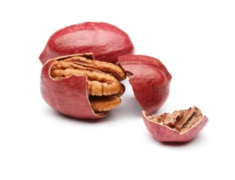 Pecan Foto stock