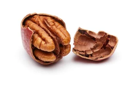 Pecan Stock Photos