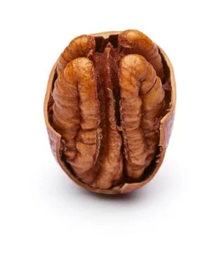 Pecan Stock Photos