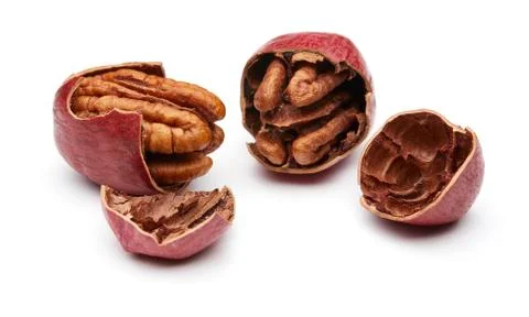 Pecan Foto stock