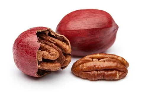 Pecan Foto stock