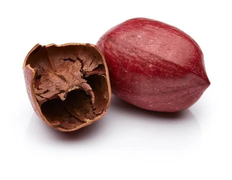 Pecan Stock Photos