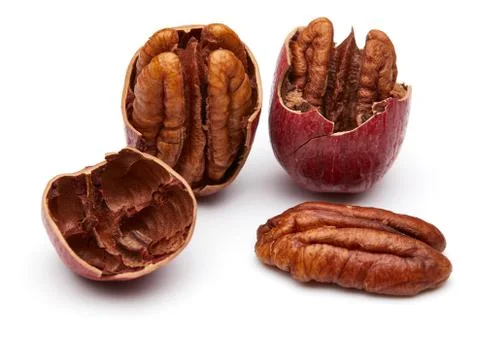 Pecan Stock Photos