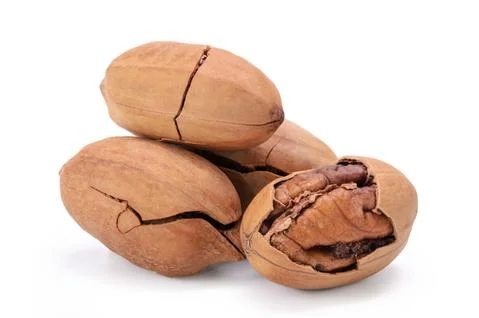 Pecan Stock Photos
