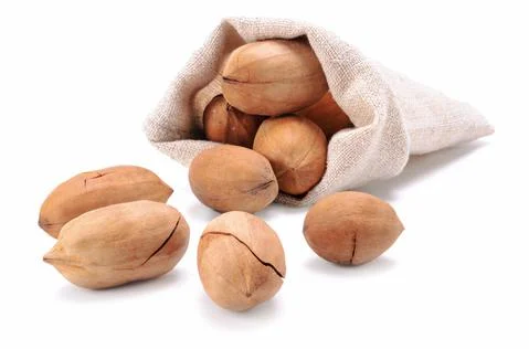 Pecan Stock Photos