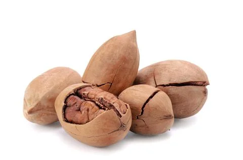 Pecan Stock Photos