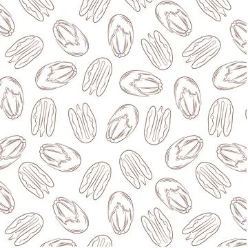 Pecan seamless pattern in line art style. Hand drawn vintage print on white Stock Illustration