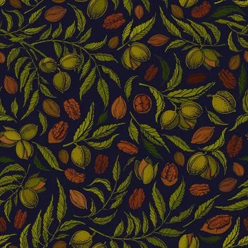 Pecan seamless print. Vector graphic illustration Stock Illustration