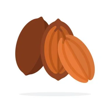 Pecan in the shell, half pecan and the kernel of the pecan flat isolated Stock Illustration