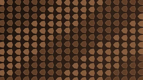 Pecan Shell Mosaic Relief Tactile Motion Loop Stock Footage 346168739