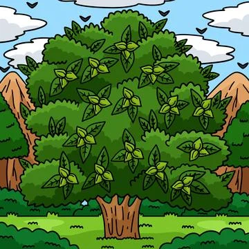 Pecan Tree Fruit Plant Nature Colored Cartoon Stock Illustration