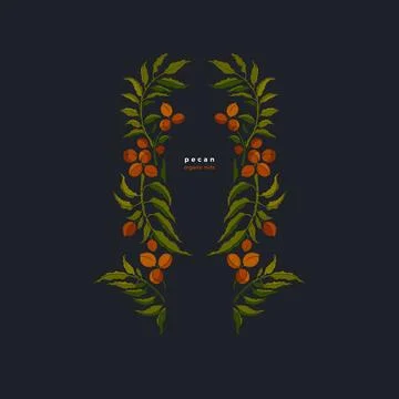 Pecan tree, nut. Vector frame. Green silhouette Stock-Illustration