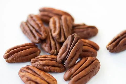 Pecan on white background. Stock Photos