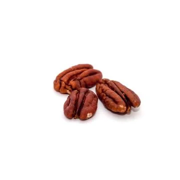 Pecan on a white background Stock Photos