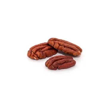Pecan on a white background Stock Photos