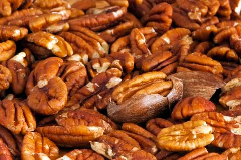 Pecans Stock Photos