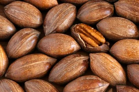 Pecans Stock Photos