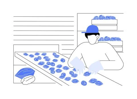 Pecans production isolated cartoon vector illustrations. Stock Illustration